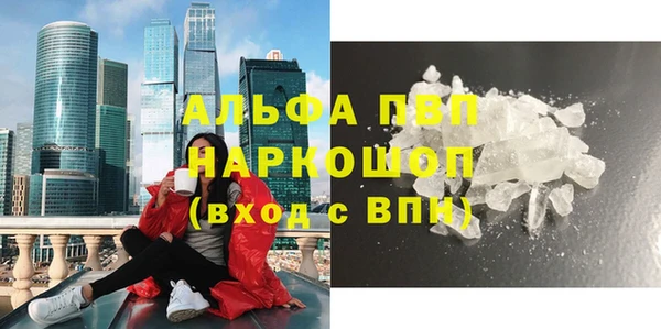стафф Алексин