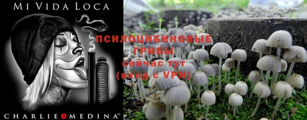 стаф Абдулино