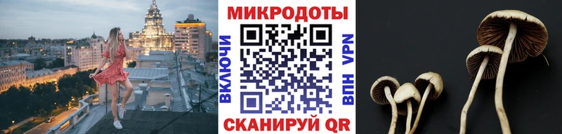где можно купить наркотик Новоаннинский blacksprut зеркало Галлюциногенные грибы мухоморы